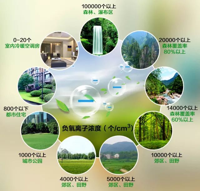 陶藝家·負(fù)離子瓷磚丨將森林搬回家，凈享清新生活(圖8)