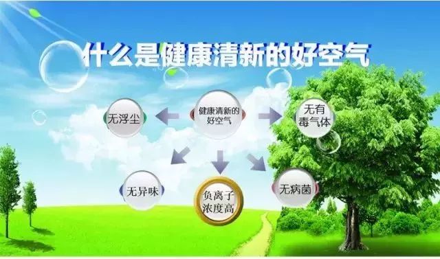 陶藝家·負(fù)離子瓷磚丨將森林搬回家，凈享清新生活(圖9)